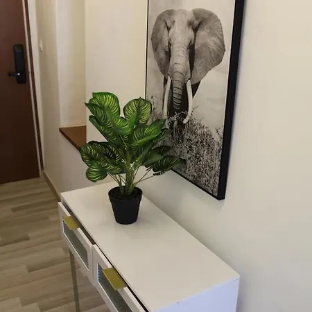 Les Du Prytanee 拉弗雷切