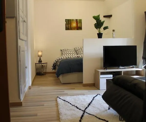 Les Du Prytanee Appartamento La Flèche